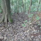 堀というよりは道