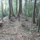 二重の土塁と堀