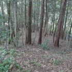 周囲に扁平地がいくつか