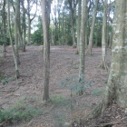 戦場からはまだ少し遠い