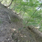 竪堀　じゃ無いかも・・申し訳