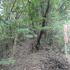 背後の丘陵も攻める