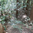 堀になっている