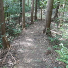 脇から社に向かう