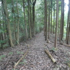 右手に何か見える