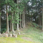 西に尾根が続く