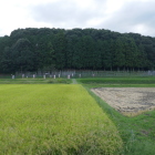 武田方から馬防柵を見る