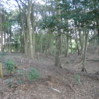 断上山第10号墳