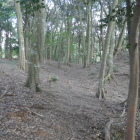 堀のようになっている