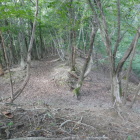 主郭北側の畝状竪堀