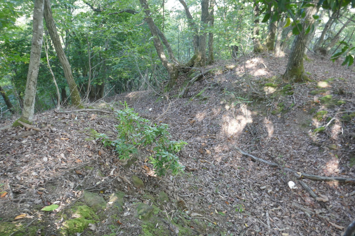 北西尾根の堀切