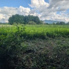 登り切ったところ