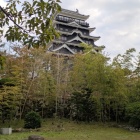 福寿会館の庭園より