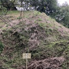 畝堀
