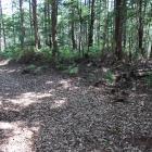 東曲輪南西辺の土塁