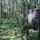 大通寺山陣地