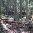 久間山砦北側の砂防ダム