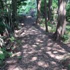 東曲輪から本曲輪に続く土橋