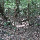 登城道から西に落ちる竪堀？