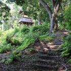 東曲輪から本曲輪へ。本曲輪南下段には帯曲輪