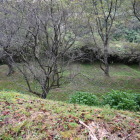 二の丸から見た竪堀群