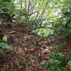 城址碑近くの堀切