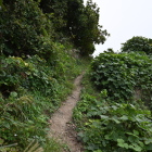 登城路