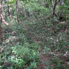 最初の高圧鉄塔からの登城路