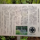 説明文