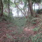 二ノ丸と楯形曲輪の間の空堀　