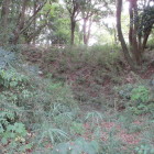 二ノ丸と楯形曲輪の間の空堀　船着場方面より土橋を見る