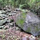 南側石垣(写真手前に不法投棄の一部が…)