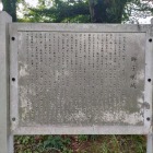 主郭パネル