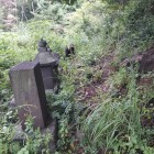 登城口を登るとこんなです…