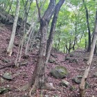 帯曲輪の東側に…