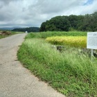 パネル&深草館遠景