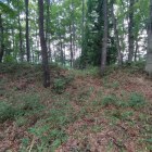 南郭⇔北郭間虎口