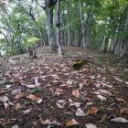 主郭全景