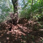 長靖寺南側土塁