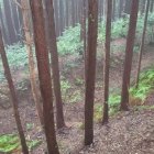 北曲輪背後の空堀