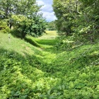 登城口からすぐの空堀