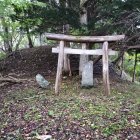 秋葉権現から主郭を眺望