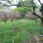 二の丸？東屋段より一段高い