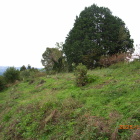 北側の崖下より二の丸？方向を見上げる