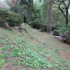 曲輪南東側の崖？帯曲輪？状態