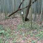 吉田本城二の曲輪