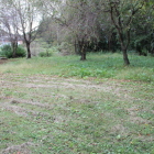 登城口平場を南から北へ