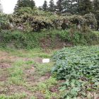 南通り面奥畑の端に石垣残存