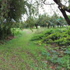 南に一段上がって虎口の様？