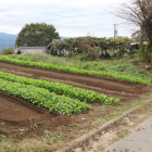 残存石垣の北側の畑の状態